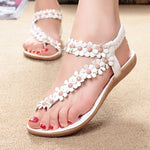 W-flat style jelly shoe - ValasMall